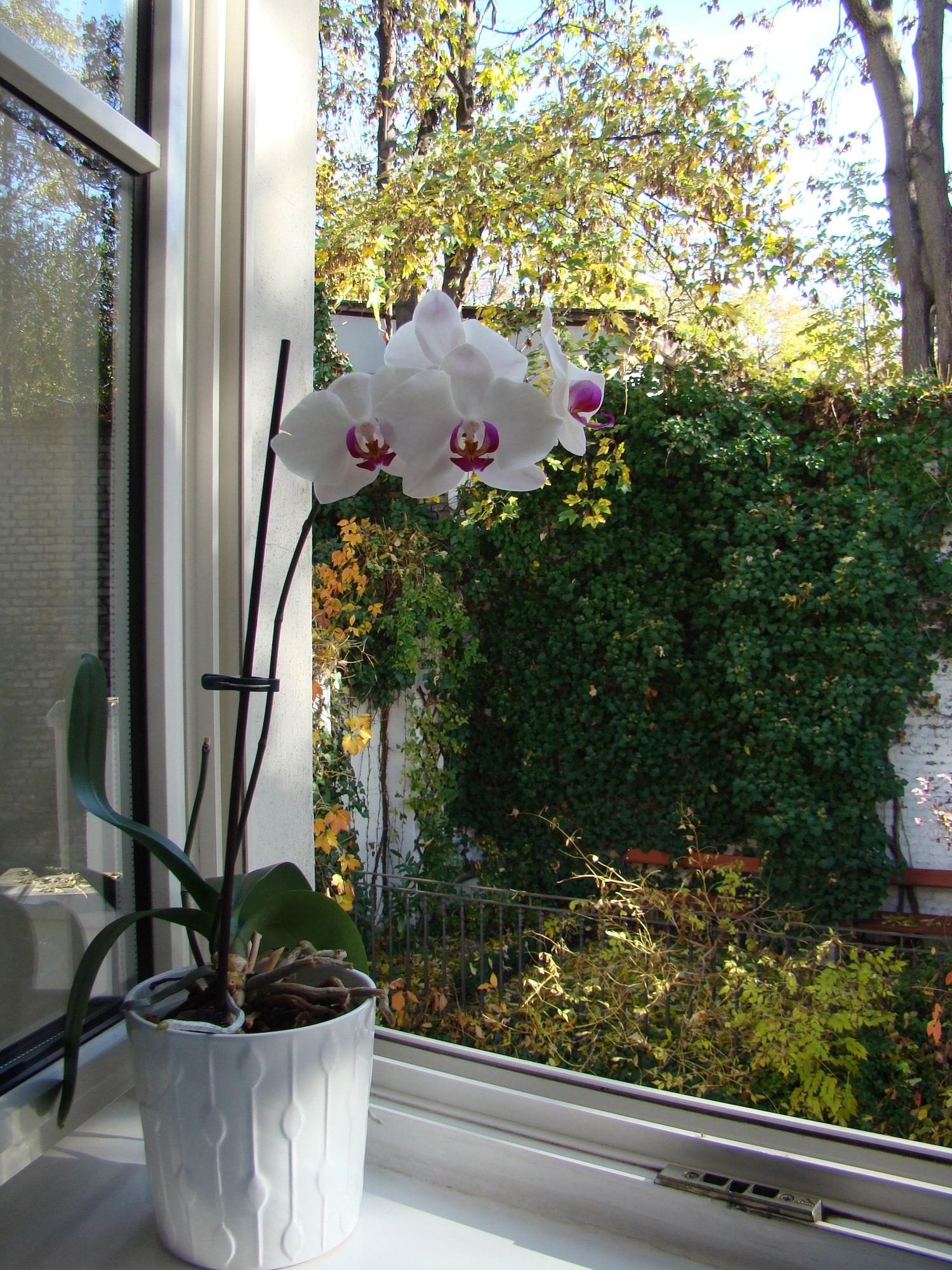Boutique Hotel 16 Prague Extérieur photo