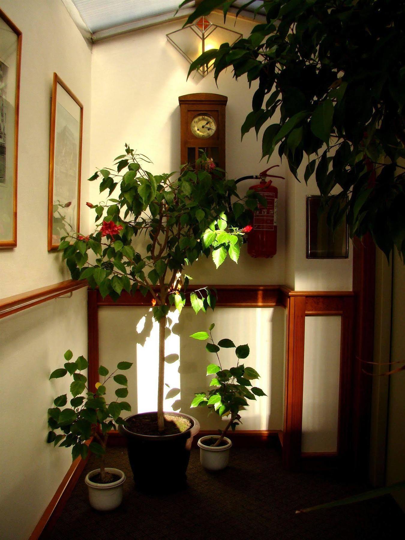 Boutique Hotel 16 Prague Extérieur photo